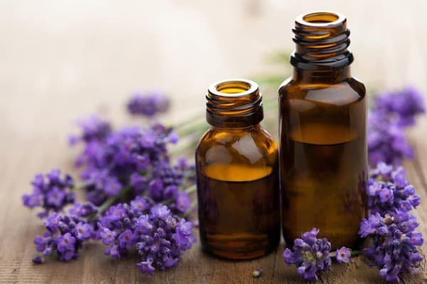 تصویر 1 از قیمت خرید اسانس طبیعی اسطوخودوس عمده به صرفه و ارزان